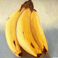 Trio of bananas