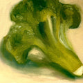 Broccoli still life